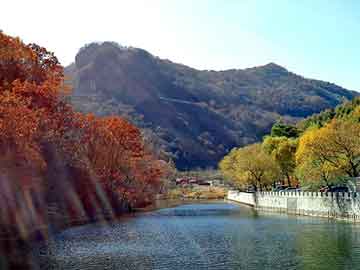 澳门二四六天天彩图库，恐怖杀人医院